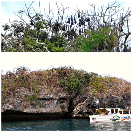 Hundred Islands Alaminos Pangasinan Bat Island https://mycupoftin.com/wp-content/uploads/2015/04/2.jpg