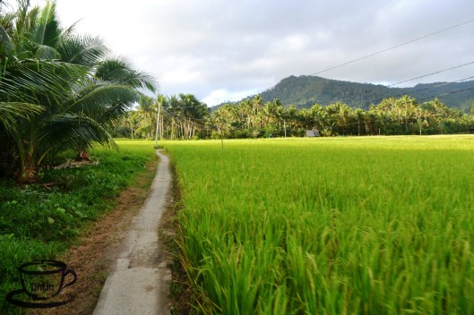 ????????????????????????????????????