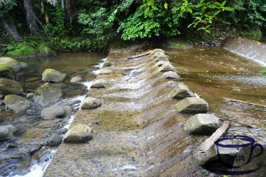 Alitap Falls Quezon Province at MyCupOfTin.wordpress.com 15