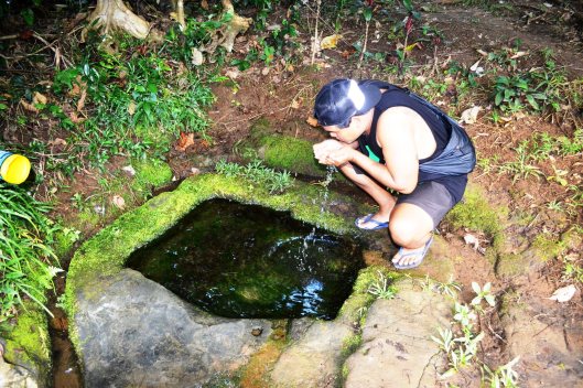 We also went in this place of the forest where a "bukal" flourished. They say that it is safe to drink.