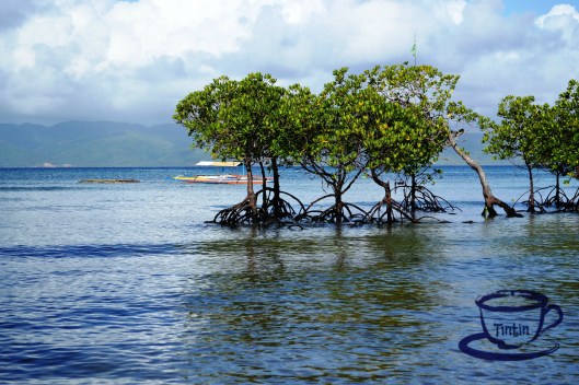 Cagbalete Island at mycupoftin.wordpress.com 14