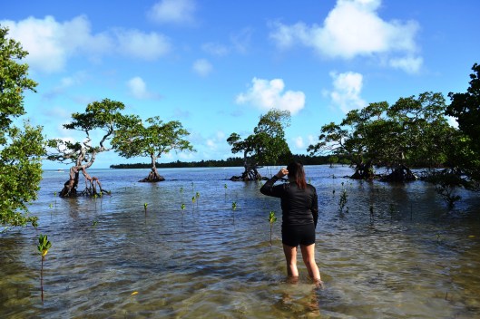 ????????????????????????????????????