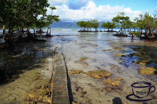 ????????????????????????????????????