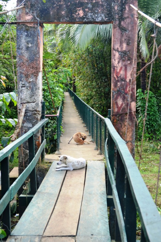 Dahoyhoy falls Quezon province at mycupoftin.wordpress.com 4