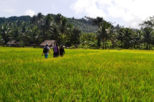 We also crossed this rice field, I love any shades of green!