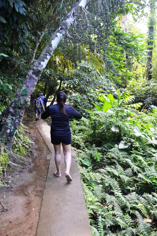 We also need to walk on narrow and slippery alley going to the waterfalls.