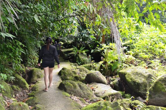 Dahoyhoy falls Quezon province at mycupoftin.wordpress.com 9