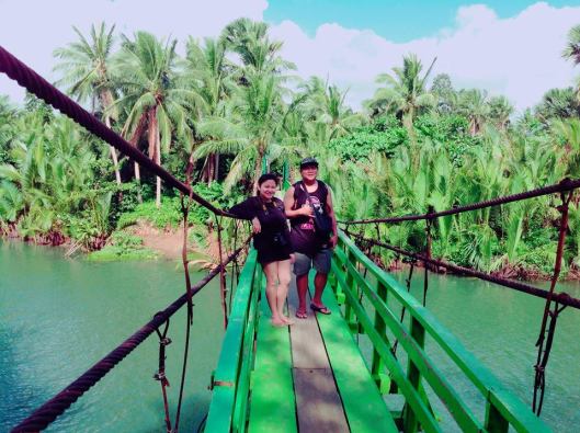 second bridge dahoyhoy falls mycupoftin.wordpress.com