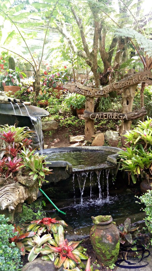 caleruega-church-at-mycupoftin-com-20